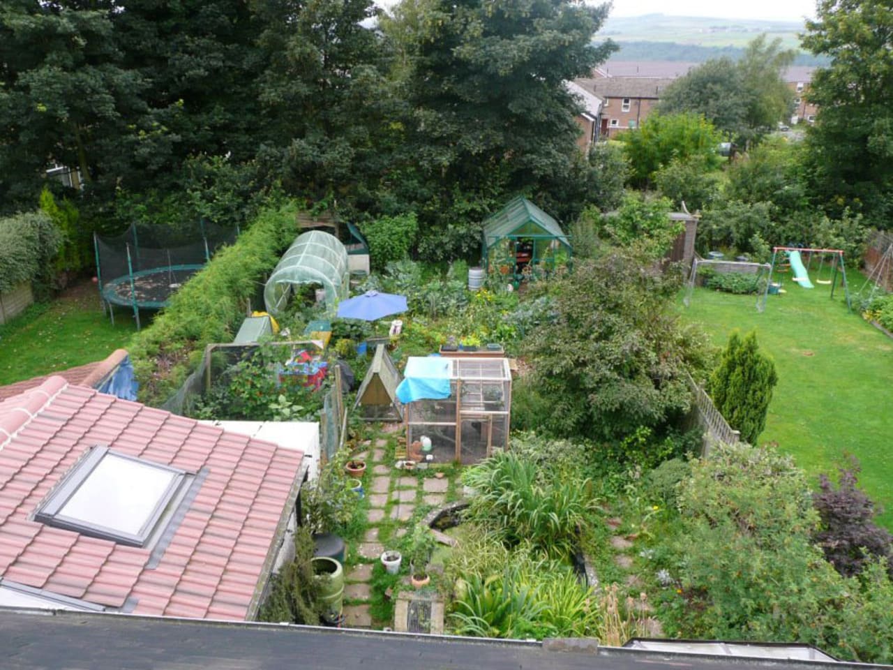 Claire_Gregorys_Permaculture_garden.jpg