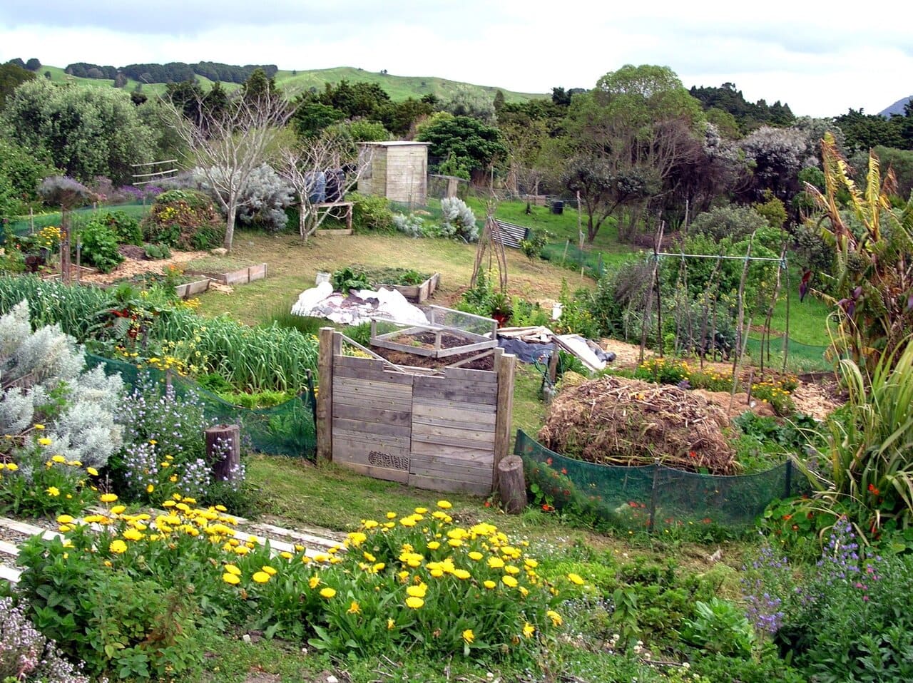 sabines-place-permaculture-127.jpg