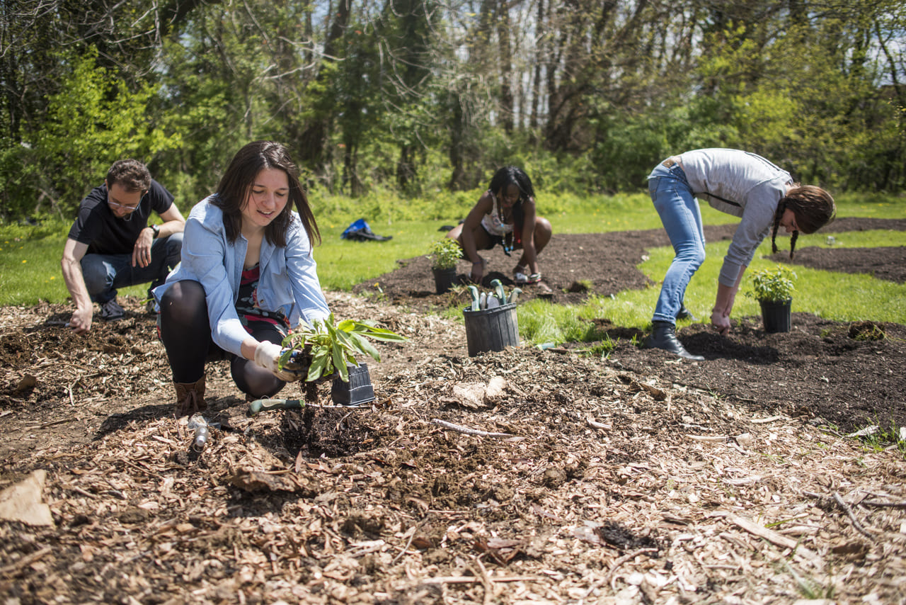 jill-wrigley-student-group-planting-food-forest.jpg