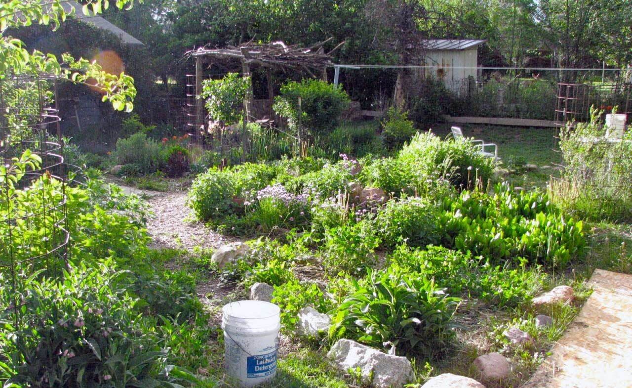 permaculture (2).jpg