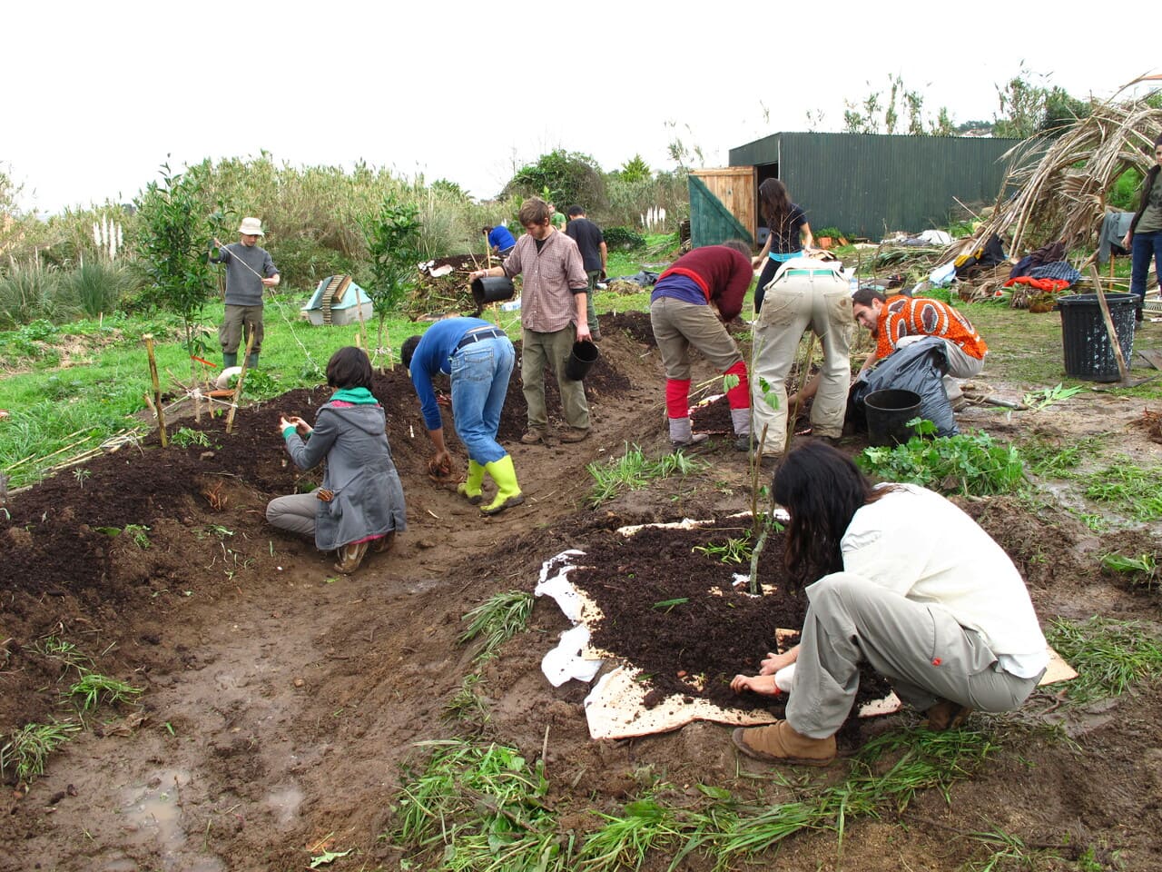 planting-food-forest-and-swale-digging-at-escola-de-terra-pdc-permaculture-portugal.jpg