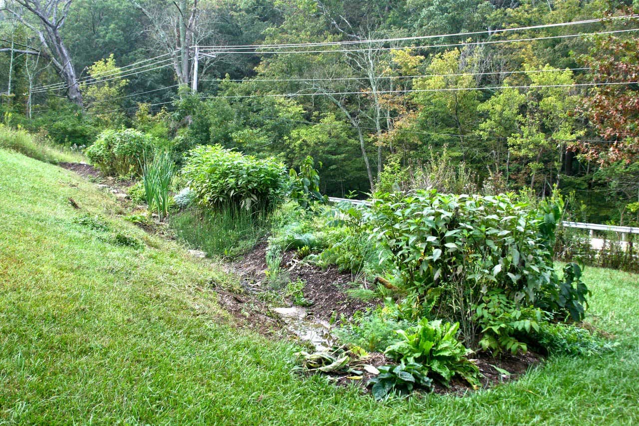 permaculture-swale.jpg