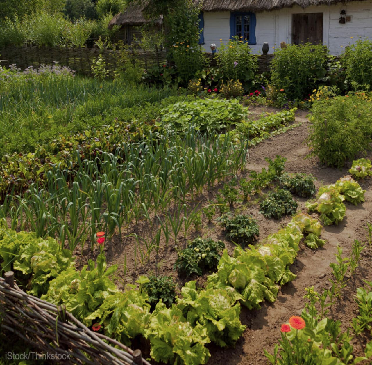 permaculture-zone_800.jpg